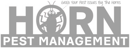 Horn Pest Management